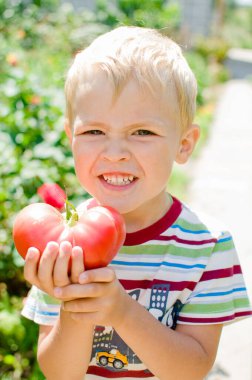 Elinde kocaman bir domatesle küçük şirin bir çocuk. Hasat. Çiftçilik. Doğal ürünler. Vejetaryen çocuk.