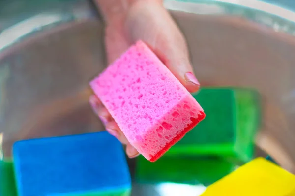 Mano Femenina Con Manicura Seleccione Una Esponja Espuma Para Limpiar —  Fotos de Stock