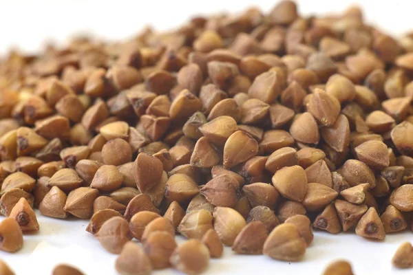 buğday