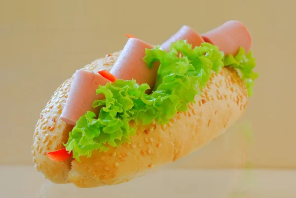 Onderzeese sandwich — Stockfoto