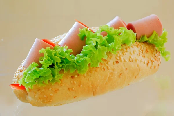 Submarine sandwich — Stock Photo, Image