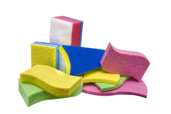 Showcase of many sponges — Stock Photo, Image