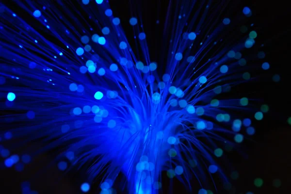 Optic fiber — Stock Photo, Image