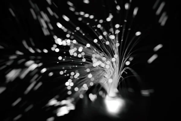 Particule și fibre (fundal neclar abstract   ) — Fotografie, imagine de stoc