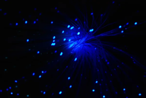 Blue optic fiber — Stock Photo, Image