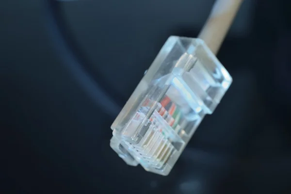 Красивий Rj45 інтернет-кабель — стокове фото