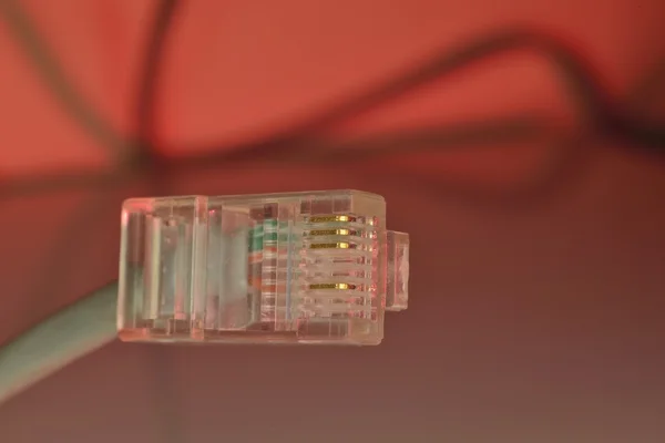 Ethernet rj-45 connector — Stock Photo, Image