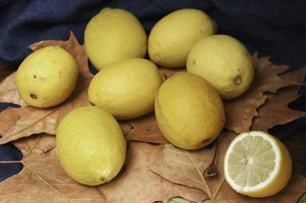 Lemon Kuning Ekologi Dan Baru Baru Ini Dipanen Dari Kebun — Stok Foto