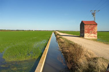 Aletleri depolamak için sulama kanalı ve evi olan pirinç tarlası.