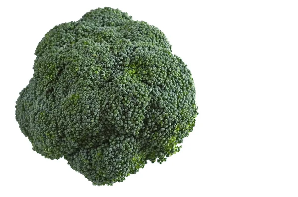 Valensiyalı Bahçesinden Toplanan Ekolojik Doğal Brokoli — Stok fotoğraf