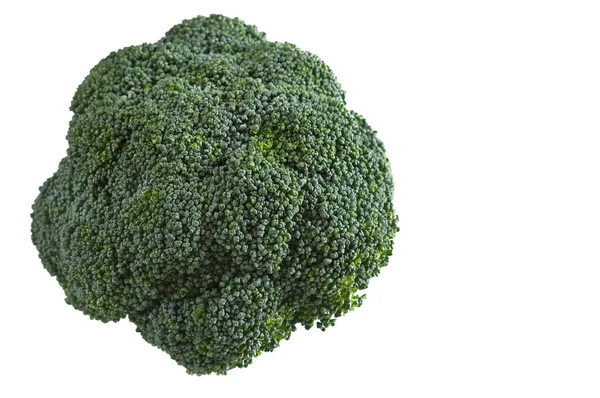 Brocoli Écologique Naturel Juste Recueilli Dans Jardin Valencien — Photo