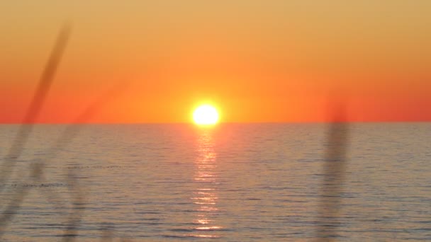 Orange Solnedgång Över Svarta Havet Krim Solen Vidrör Horisonten Orange — Stockvideo