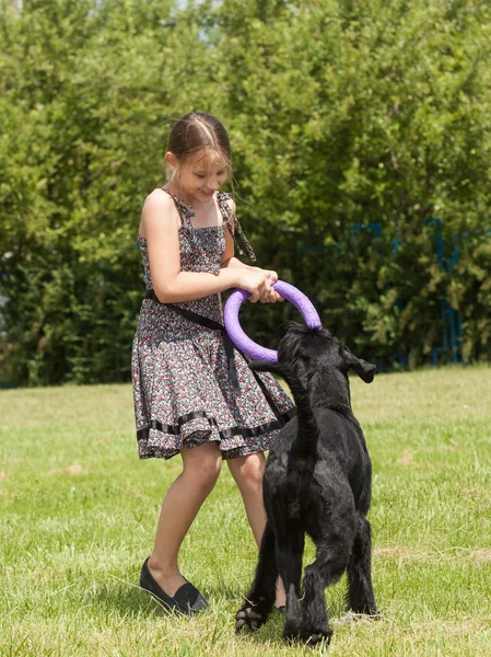 Flicka som leker med en stor hund — Stockfoto