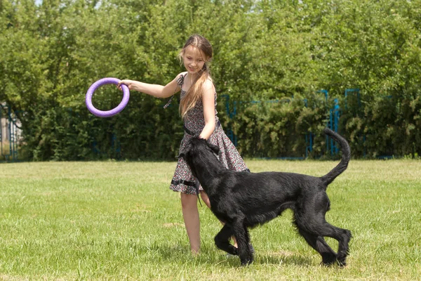 Flicka som leker med en stor hund — Stockfoto