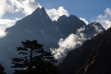 Nepal dağlarda bir arka plan ağaç silüeti