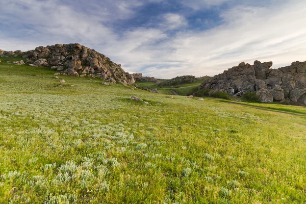 Green field on a background of blue sky — Stock Photo, Image