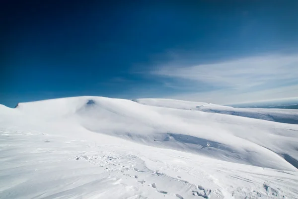 Un gran campo cubierto de nieve bajo el sol — Foto de Stock