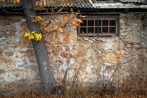 Ventana de la vieja casa bajo el árbol —  Fotos de Stock