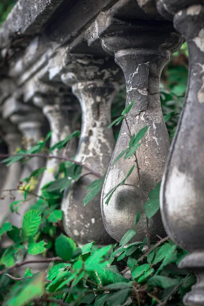 Valla de columna histórica con follaje verde a través de ella — Foto de Stock