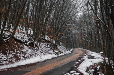 Ormanda kış yol açma