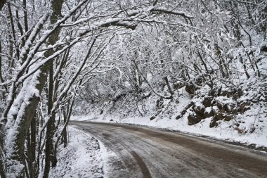 Ormanda kış yol açma