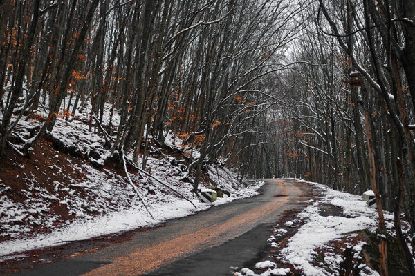 Turning the winter road in the woods