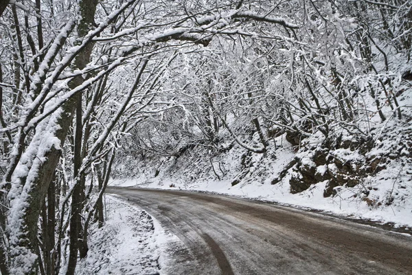 Turning the winter road in the woods — Stock Photo, Image