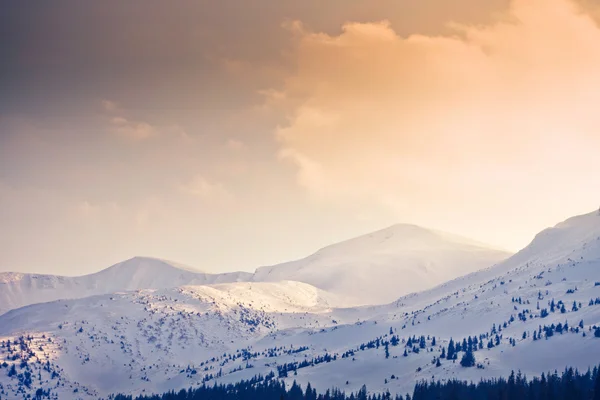 Las montañas de los Cárpatos bajo la nieve en invierno —  Fotos de Stock