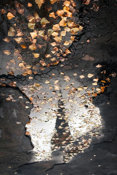 Reflet de la Tour du Kremlin de Moscou dans une flaque d'eau dans le fal — Photo