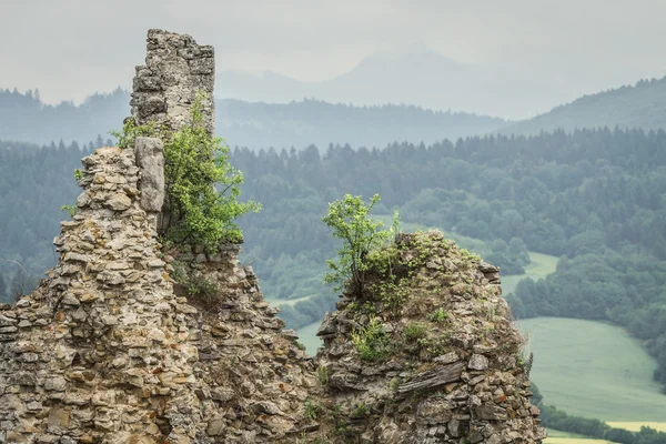 Rovine dell'antica fortezza medievale in Slovacchia — Foto Stock