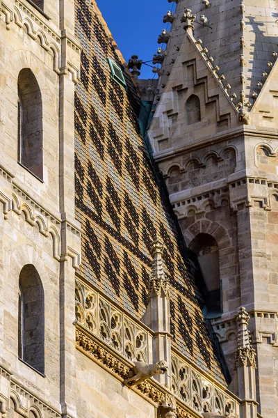 Gothic elements of St. Stephen's Cathedral in Vienna, Austria — Stock Photo, Image