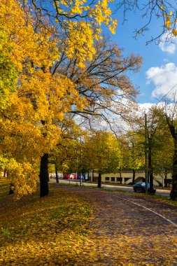 Riga Merkezi sonbaharda road yakınındaki Park