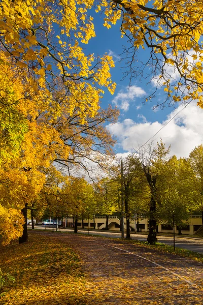 Riga Merkezi sonbaharda road yakınındaki Park
