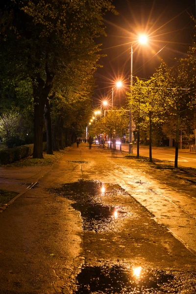 gece ile riga göletlerde bu parlak ışıkların altında sokak