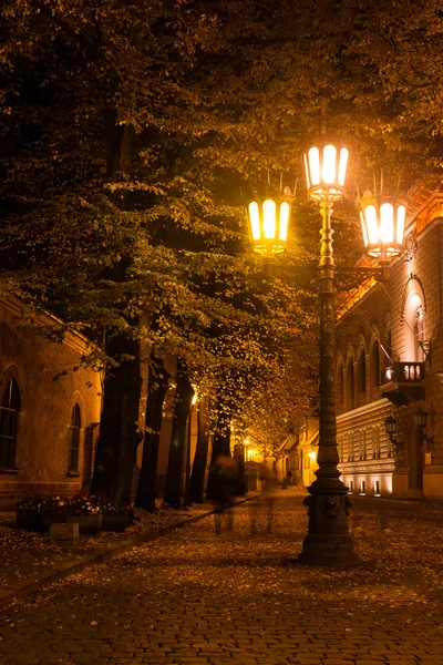 Gece parlak ışıkların altında Riga'da sokak Güz