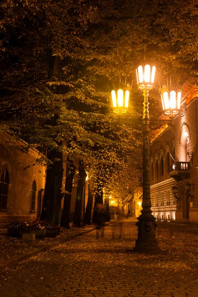 秋天的夜晚街头里加在明亮的灯光下 免版税图库图片