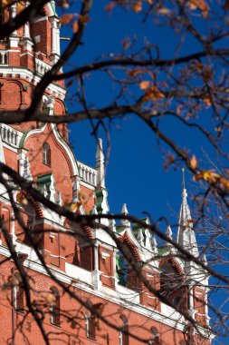 Ağacın altında Moskova Kremlin ve Kızıl Kule