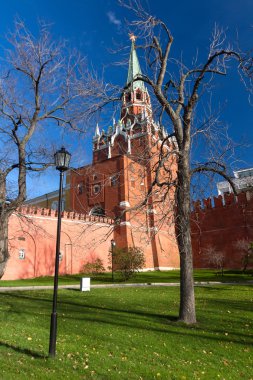 Ağacın altında Moskova Kremlin ve Kızıl Kule