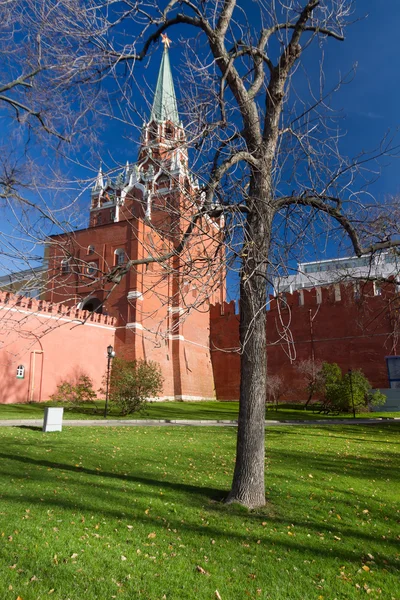 Torre Roja del Kremlin de Moscú bajo el árbol — Foto de Stock