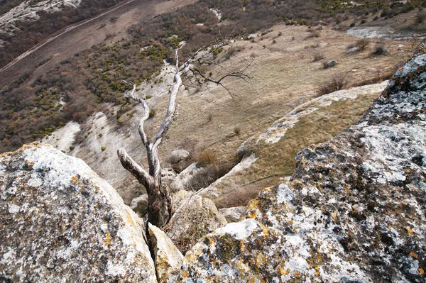 Antike Höhlenstadt im Felsen auf der Krim im Herbst — Stockfoto