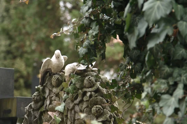 Híres történelmi Vysehrad temetőt a prágai őszi nap — Stock Fotó