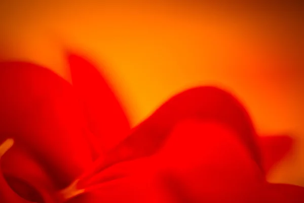 Red abstract background — Stock Photo, Image