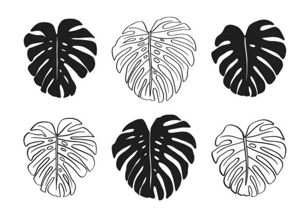 Set Monstera Leaf Black Illustrations Isolated White Background Vector — Stock Vector