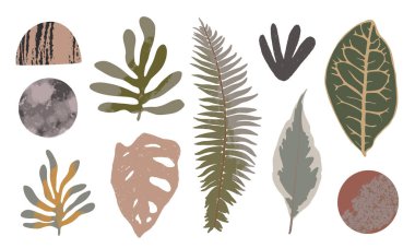 El çizimi soyut şekiller ve beyaz arka planda izole edilmiş yapraklar. Tasarım elementlerinin grafiksel koleksiyonu. Vektör illüstrasyonları.