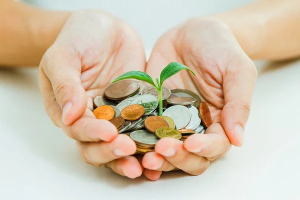 Handful of coins in palm hands,Businessman holding plant sprouti