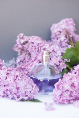 Gri arka planda mor daire parfüm şişesi ve leylak çiçekleri.