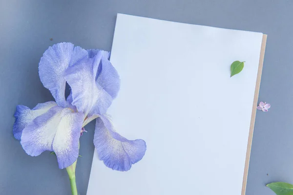 Bloc Notes Vide Avec Fleur Iris Joli Modèle Bannière Printanière — Photo