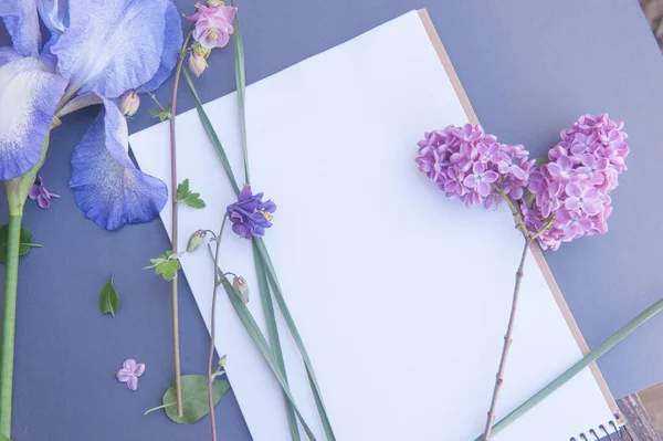 Lista Álbuns Espaço Branco Vazio Com Flores Violetas Suaves — Fotografia de Stock