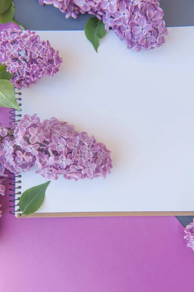 Lista Bloco Notas Espaço Vazio Com Monte Flores Lilás Modelo — Fotografia de Stock