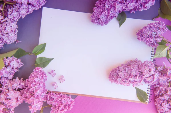 Lista Bloco Notas Espaço Vazio Com Flores Grupo Lilás Mockup — Fotografia de Stock